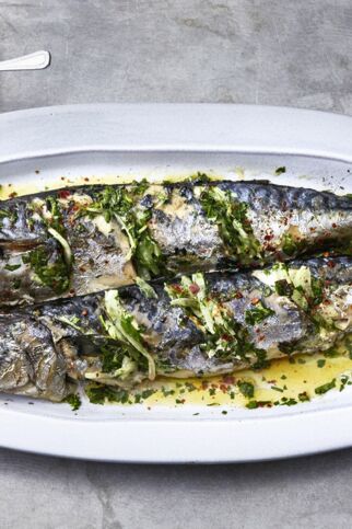 Gegrillte Makrelen Gegrillte Makrelen