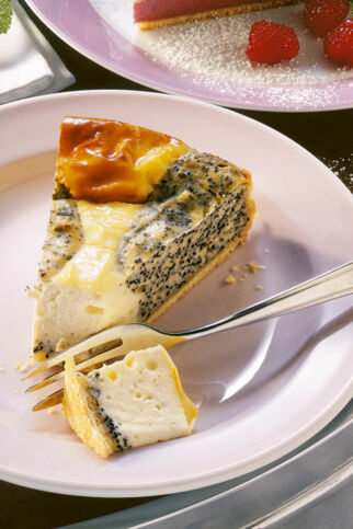 Mohn-Cheesecake Mohn-Cheesecake