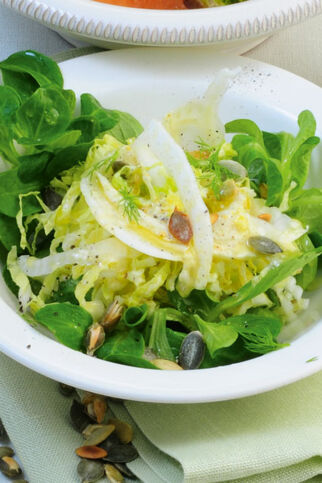 Fenchel-Chinakohl-Salat