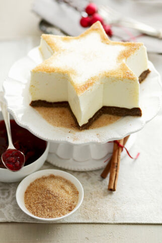 Schoko-Zimtstern Schoko-Zimtstern