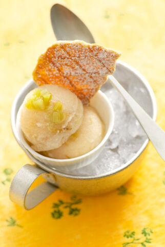 Holunderblütensorbet mit Rhabarber Holunderblütensorbet mit Rhabarber