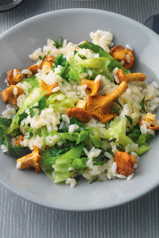 Risotto mit Wirsing und Pilzen Risotto mit Wirsing und Pilzen