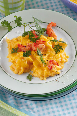 Rührei mit Flusskrebsen Rührei mit Flusskrebsen