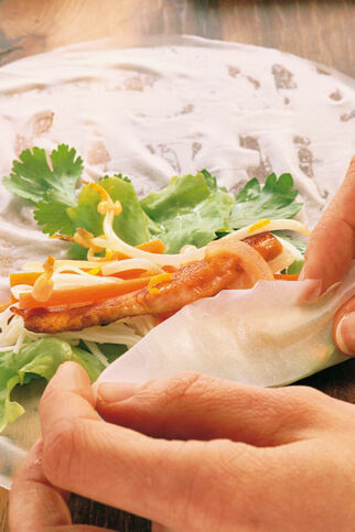 Frische Frühlingsrollen Frische Frühlingsrollen