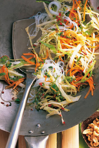 Asiatischer Weißkohl Asiatischer Weißkohl