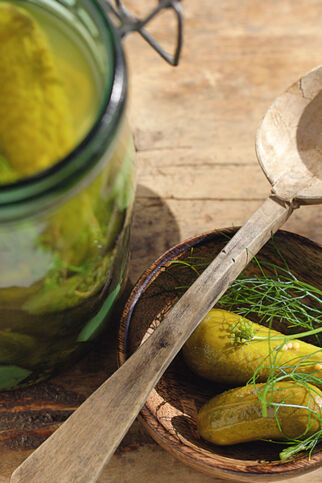 Essig-Honig-Gürkchen Essig-Honig-Gürkchen