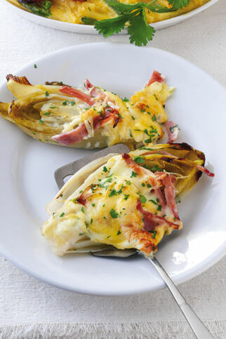 Chicorée-Schinken-Gratin Chicorée-Schinken-Gratin