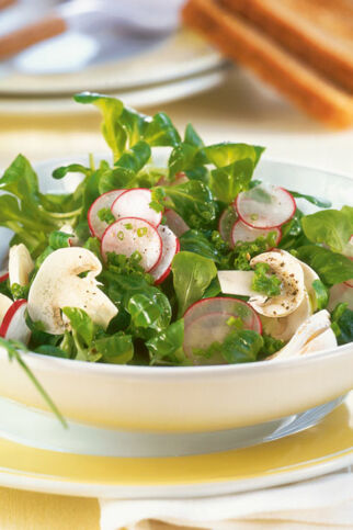 Champignon-Feldsalat Champignon-Feldsalat