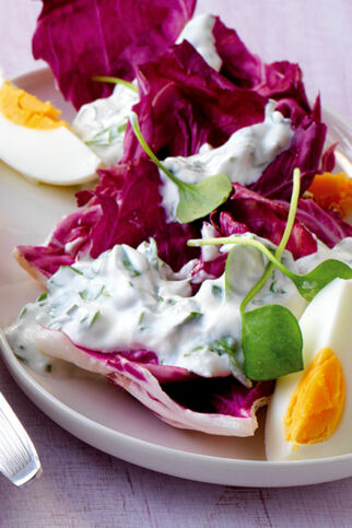 Radicchio mit Portulakjoghurt Radicchio mit Portulakjoghurt