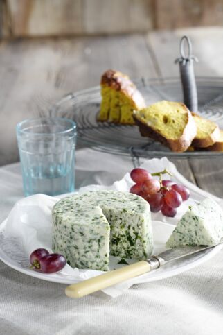 Cashew-Kräuter-Weichkäse Cashew-Kräuter-Weichkäse