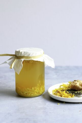 Ginger Bug Ginger Bug