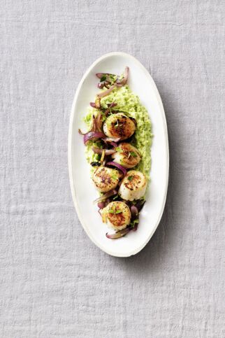 Jakobsmuscheln mit Brokkoli-Mash Jakobsmuscheln mit Brokkoli-Mash