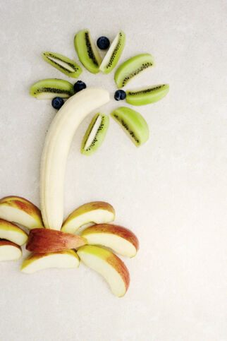 Bananen-
Palme