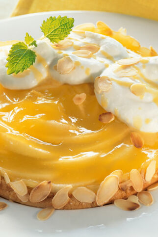 Apfel-Biskuit-Kuchen