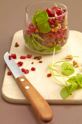 Bündner Tatar mit Portulak Bündner Tatar mit Portulak