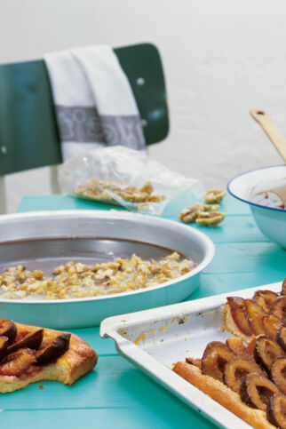 Zwetschgendatschi auf Quarkteig Zwetschgendatschi auf Quarkteig