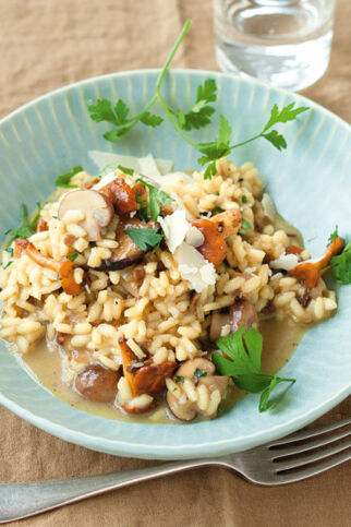 Herbstliches Waldpilz-Risotto Herbstliches Waldpilz-Risotto