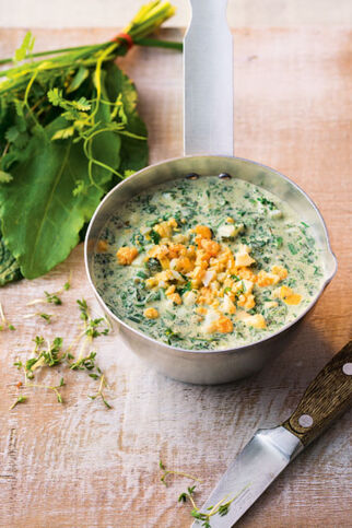 Frankfurter grüne Sauce Frankfurter grüne Sauce