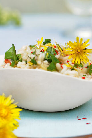Löwenzahnrisotto