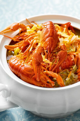 Flusskrebserl aus dem Wurzelsud Flusskrebserl aus dem Wurzelsud