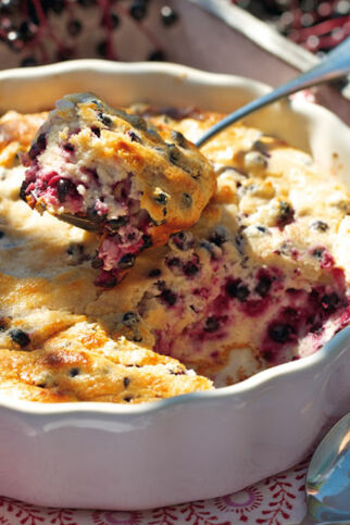 Quarkauflauf mit Holunderbeeren