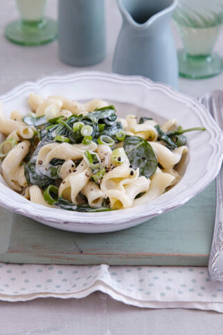 Pasta mit Spinat Pasta mit Spinat