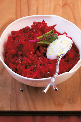 Rote-Bete-Graupenrisotto