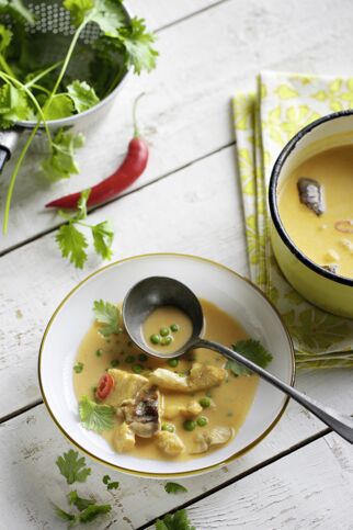 Kokos-Curry-Suppe mit Hähnchen Kokos-Curry-Suppe mit Hähnchen