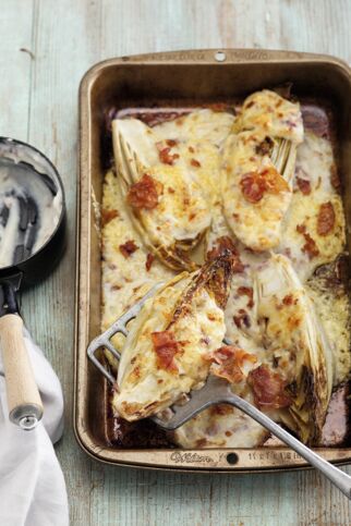 Chicorée-Gratin mit Bacon Chicorée-Gratin mit Bacon
