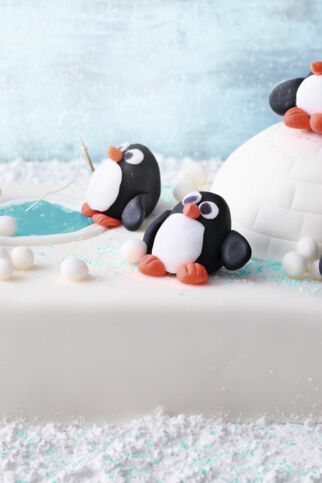 Winter- Wunderland