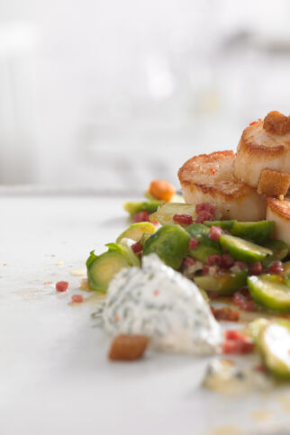 jakobsmuscheln_auf_rosenkohlgemuese jakobsmuscheln_auf_rosenkohlgemuese