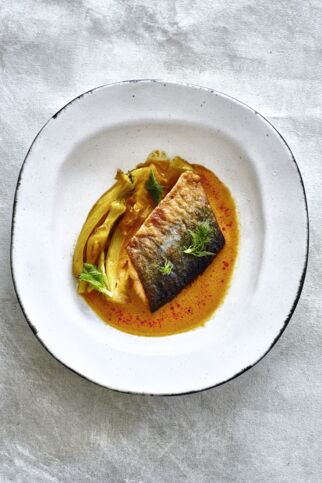 Saibling mit Fenchelgemüse Saibling Fenchel Massaman