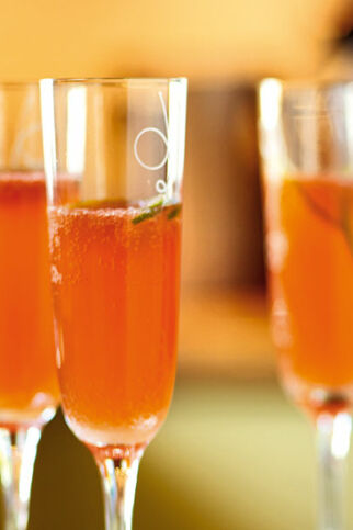 Zitrusfrischer Welcome-Cocktail Zitrusfrischer Welcome-Cocktail