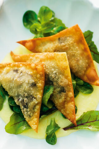 Knusprige Wan-Tans mit Blutwurst auf Apfelcreme Knusprige Wan-Tans mit Blutwurst auf Apfelcreme