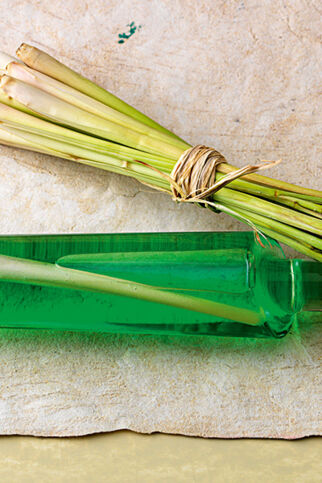 Zitronenmelissesirup Zitronenmelissesirup