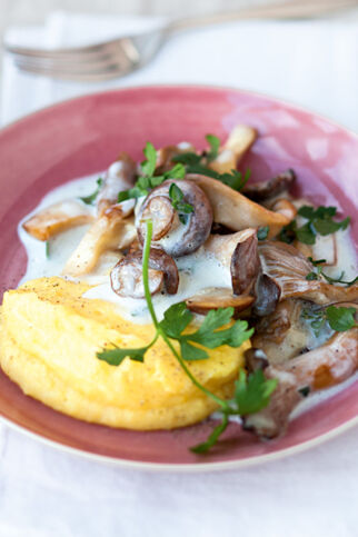 Pilzragout mit Käsepolenta