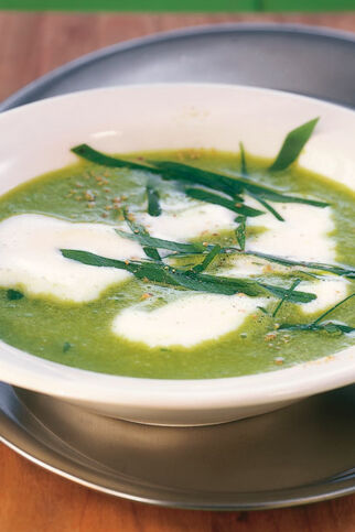 Bärlauchsuppe Bärlauchsuppe