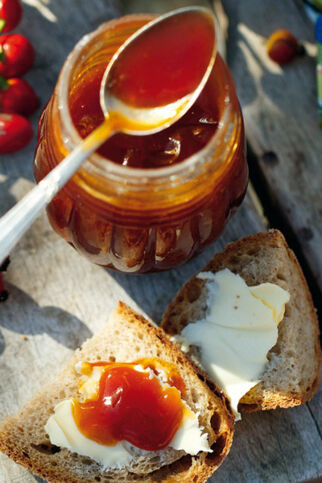 Hagebuttenmus Hagebuttenmus