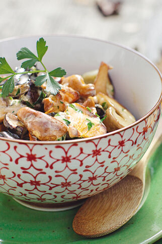 Pilzragout mit Sahne Pilzragout mit Sahne