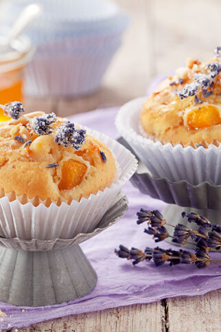 Lavendel-Aprikosen-Muffins