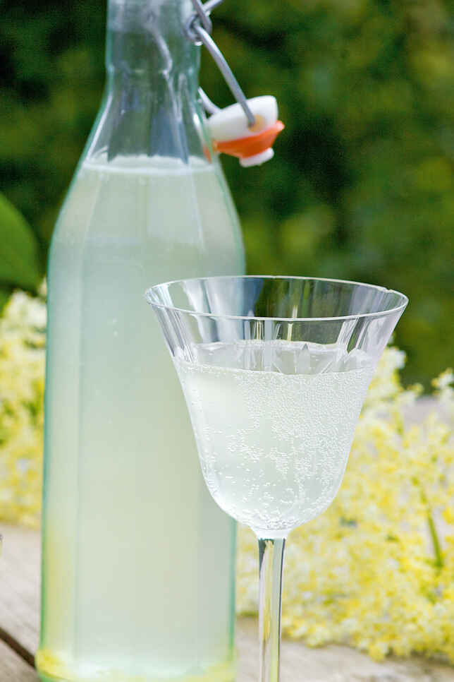 Rezepte mit Holunderblüten und Holunderbeeren | Küchengötter