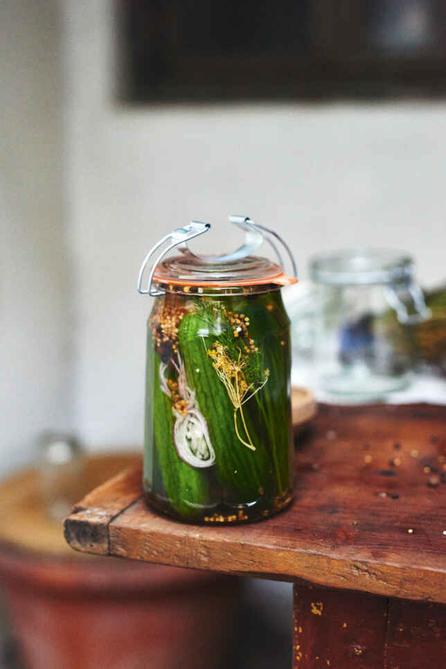 Rezepte für eingelegte Gurken - Gurken ganz einfach selber einlegen ...