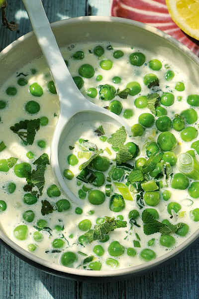 Rezeptideen mit Zitronenmelisse | Küchengötter Rezeptideen mit Zitronenmelisse | Küchengötter