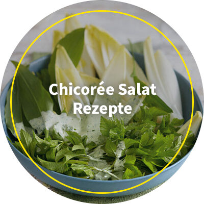 Chicorée Salat Rezepte