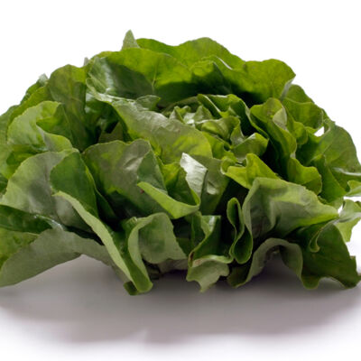 Kopfsalat