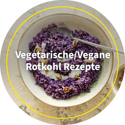 Teaser-vegetarische-vegane-Rotkohl-Rezepte