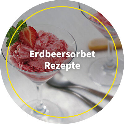 Teaser-Erdbeersorbet-Rezepte