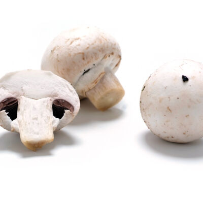 Champignons