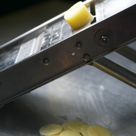 Zander mit Kartoffelschuppen auf Riesling-Sauerkraut Zander mit Kartoffelschuppen auf Riesling-Sauerkraut