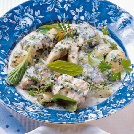 Aal mit Frühlingskräutern Aal mit Frühlingskräutern